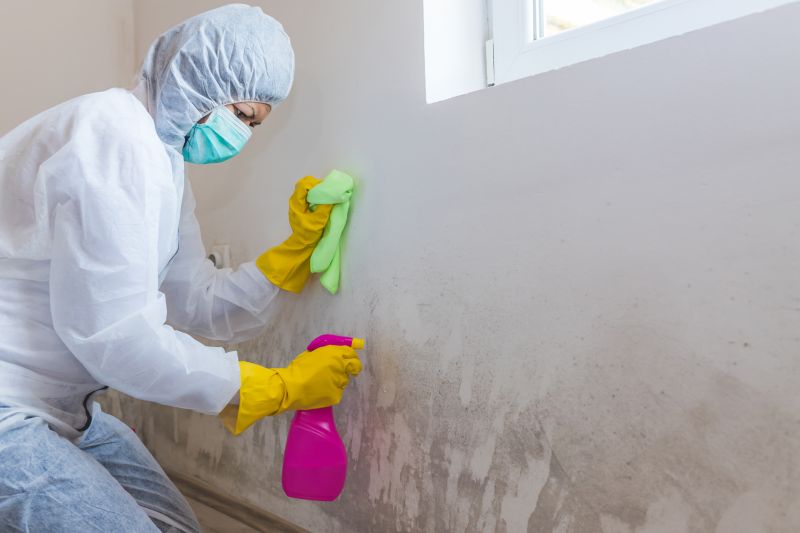 Air Duct Mold Removal in West Palm Beach, FL