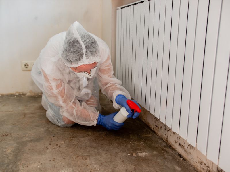 Attic Mold Remediation in Frisco, TX
