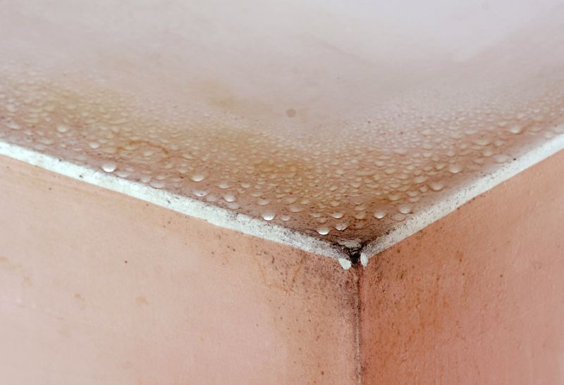 Basement Mold Removal in Essex County, NJ