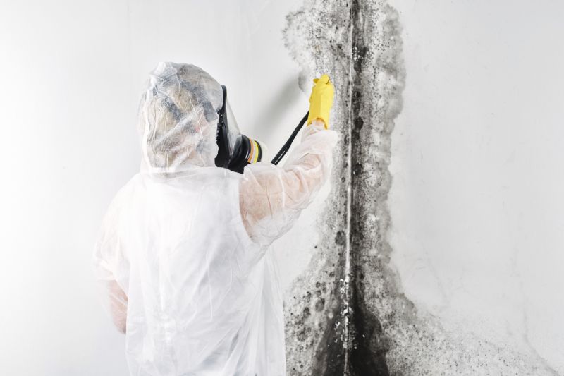 Crawl Space Mold Removal in Bergen County, NJ