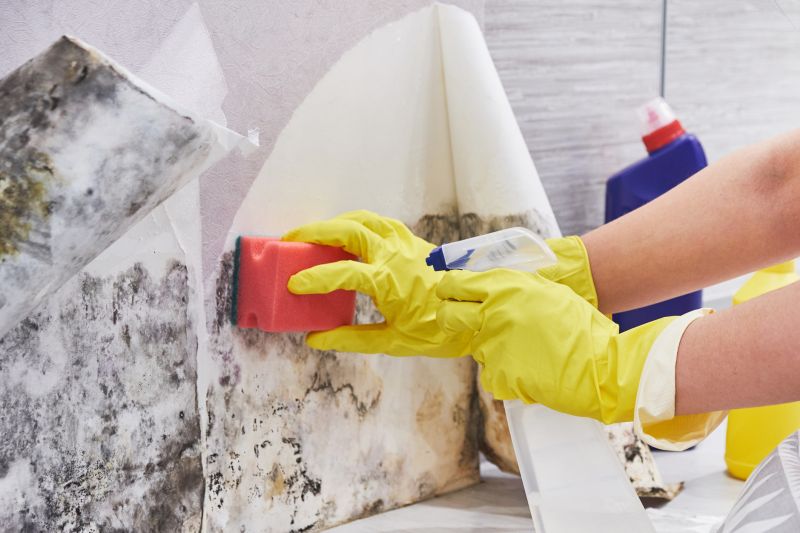 Crawl Space Mold Removal in Boca Raton, FL