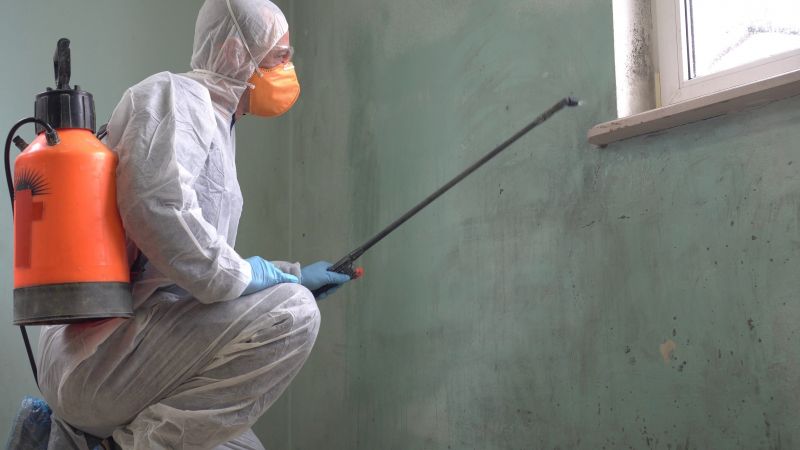 Ermi Testing in Broward County, FL