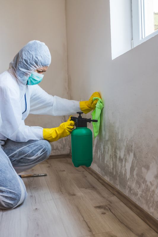 Garage Mold Remediation in Jupiter, FL