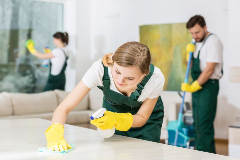 Hardwood Floor Cleaning Service in Frisco, TX