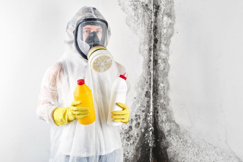 Mold Cleanup Service in Essex County, NJ