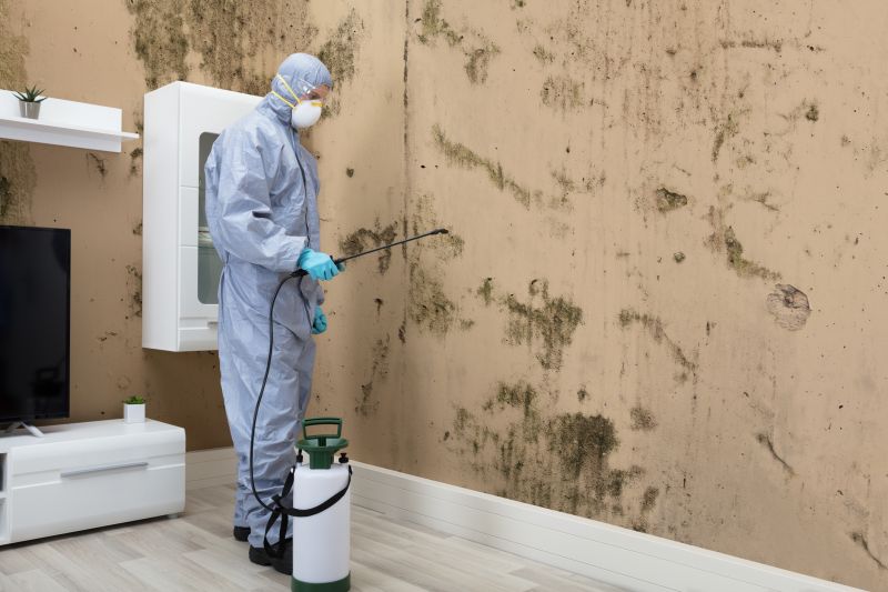 Mold Detection in Mckinney, TX