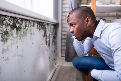 Mold Detection in Plano, TX