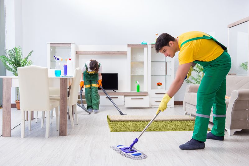 Reo Property Cleaning in Bellevue, WA