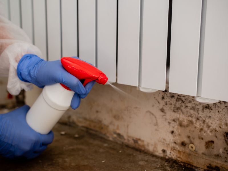 Air Duct Mold Removal in Frisco, TX