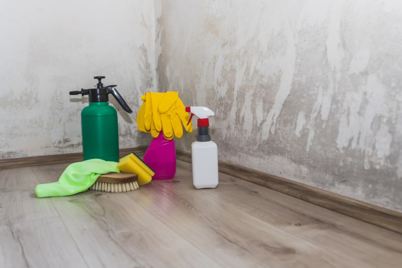 Air Duct Mold Removal in Dallas, TX