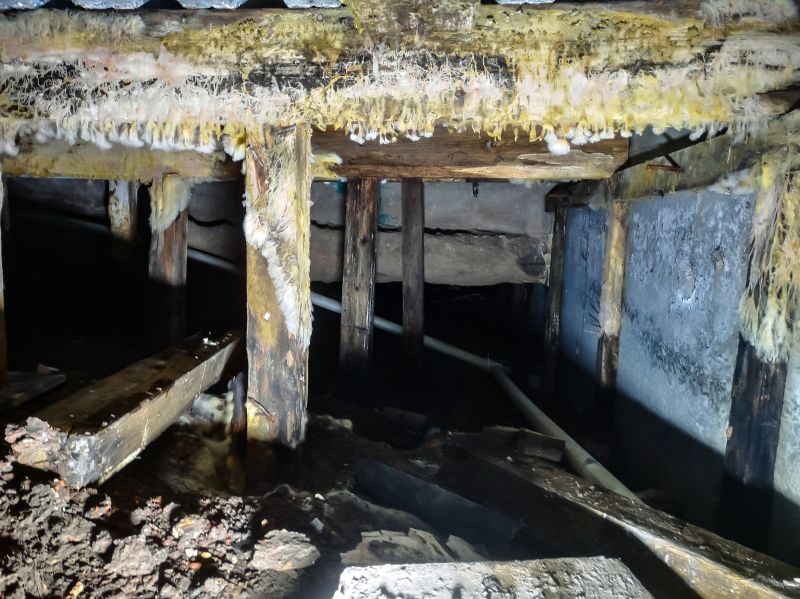 Basement Mold Remediation in Boca Raton, FL