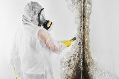 Basement Mold Removal in Dallas, TX