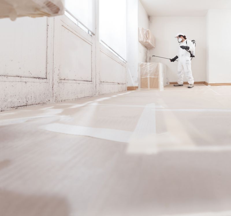 Mold Abatement Service in Boca Raton, FL