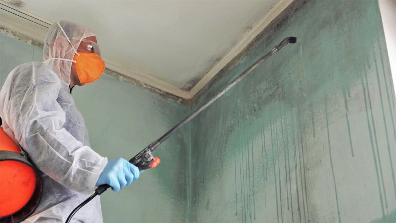 Mold Cleanup Service in Fort Lauderdale, FL