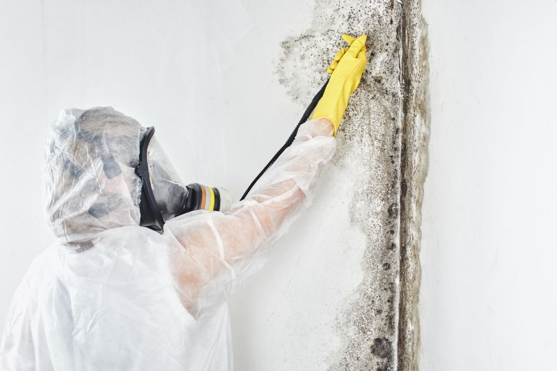 Mold Control in Jupiter, FL