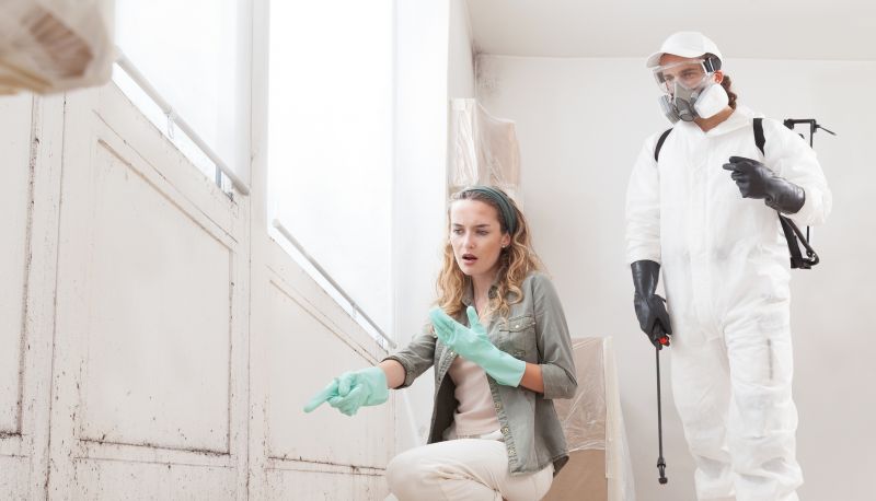 Mold Remediation Service in Dallas, TX