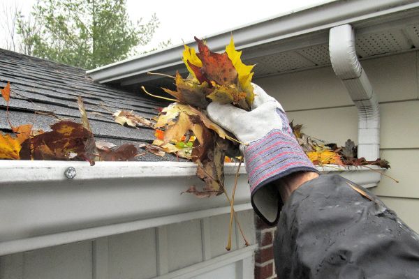 Gutter Cleaning - Gutter Cleaning Savannah, Georgia